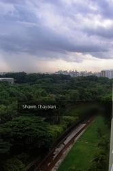 Blk 486C Tampines Avenue 9 (Tampines), HDB 4 Rooms #129585402